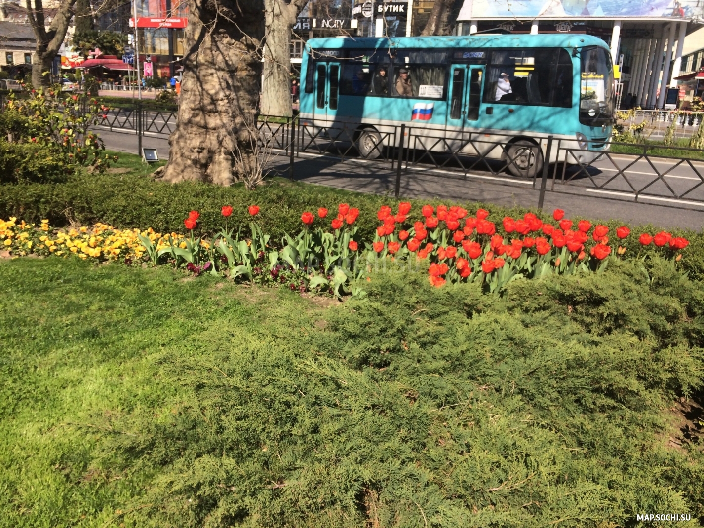 Платановая аллея, Современные, Достопримечательности, Цветные