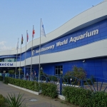  Океанариум Sochi Discovery World Aquarium, Современные, Цветные