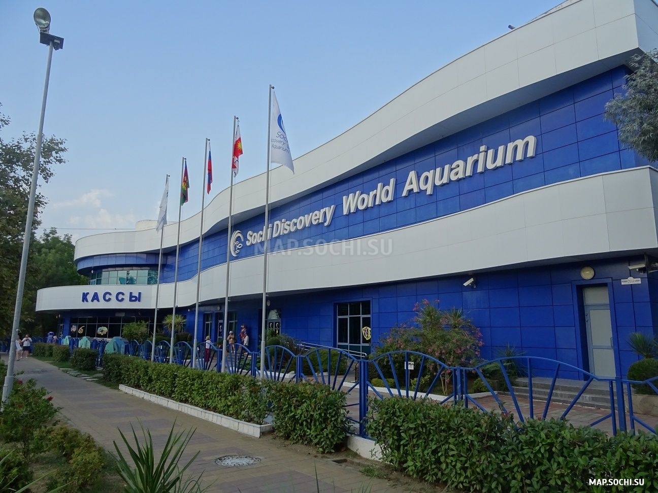  Океанариум Sochi Discovery World Aquarium, Современные, Цветные